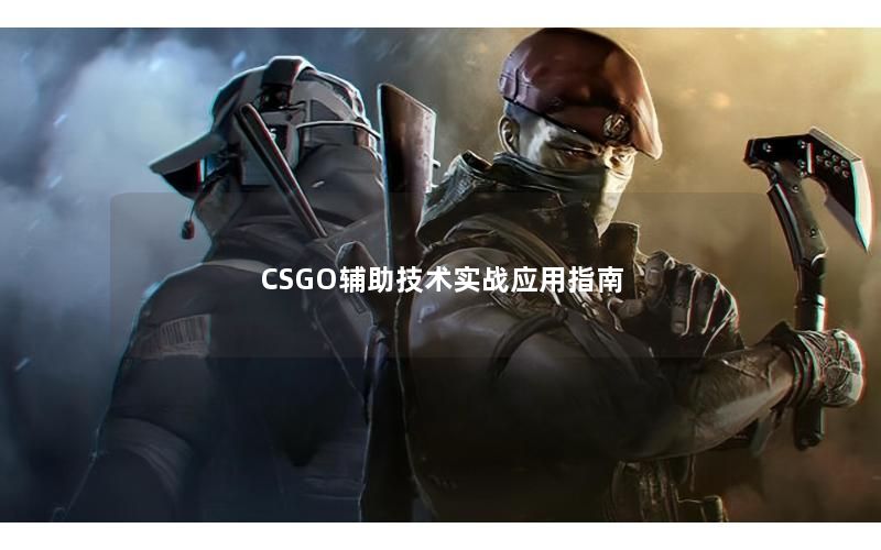 CSGO辅助技术实战应用指南 CSGO辅助技术实战应用指南
