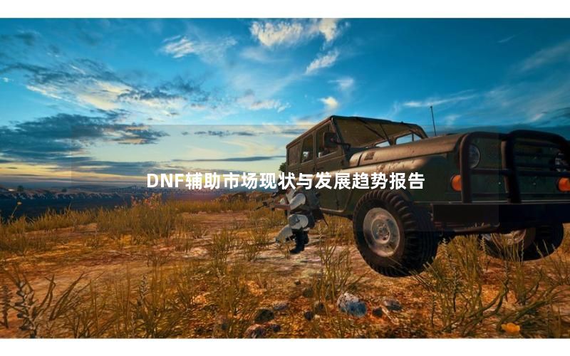 DNF辅助市场现状与发展趋势报告