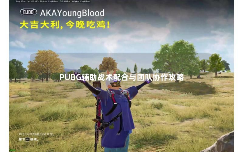 PUBG辅助战术配合与团队协作攻略 PUBG辅助战术配合与团队协作攻略