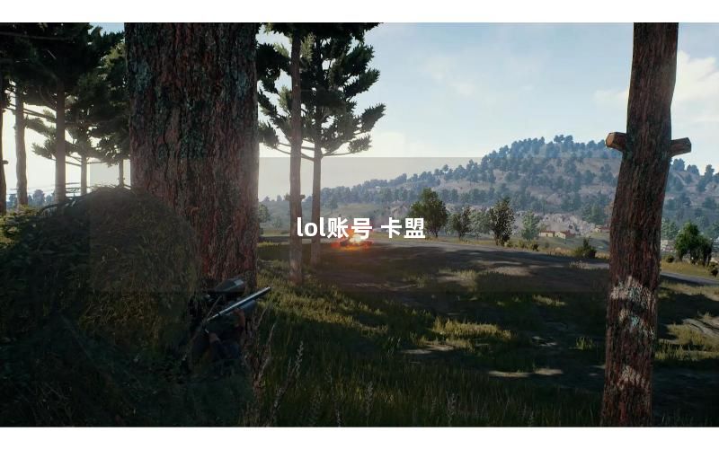 lol账号 卡盟