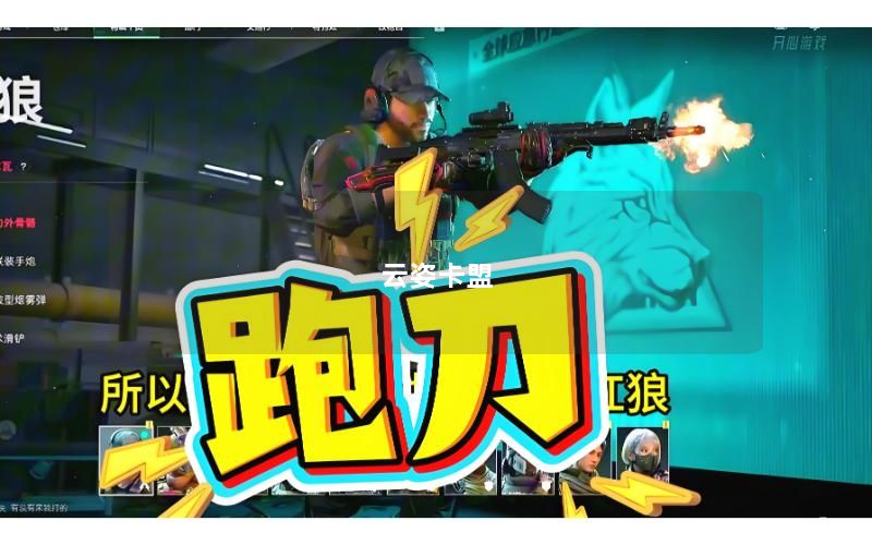 云姿卡盟