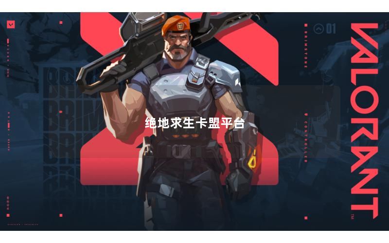 绝地求生卡盟平台