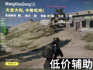 绝地求生梦境辅助：五星品质稳定吃鸡，高端白号安全使用指南