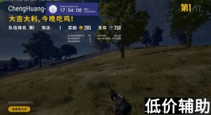 绝地求生城隍辅助：无视击杀检测的超强功能解析