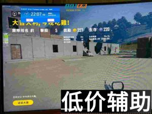 绝地求生女王辅助全自动追踪开枪教程