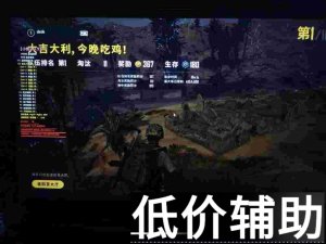 绝地求生小妮子辅助 稳定高端吃鸡科技首选