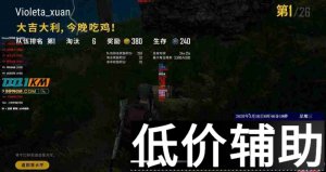 绝地求生擎天柱辅助最新优化版 注入稳定窗口隐藏无痕