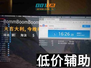 绝地求生吟龙辅助 - 稳定奔放 安全使用指南