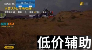 绝地求生刁豹辅助使用教程与下载指南