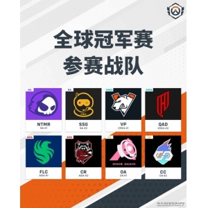 我们来到了《守望先锋》世界赛现场，见证了中国战队的新生