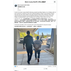 <b>还有高手？美国一男子从图书馆盗窃1万美元Switch游戏</b>